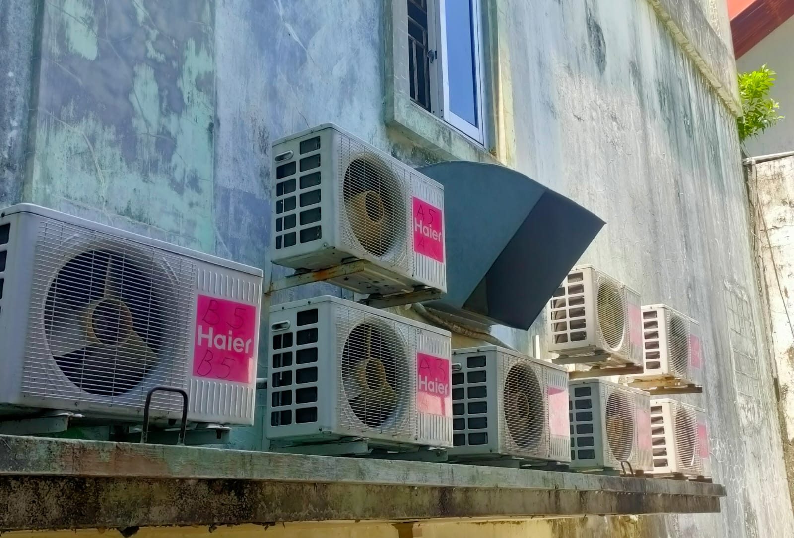 WhatsApp Image 2025-09-08 at 12.22.54_06a2cdeb